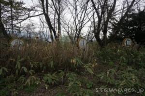 仁山駅(にやまえき) 駅スタンプなし 無人駅 木造駅舎 函館本線(砂原支線) 駅番号H69